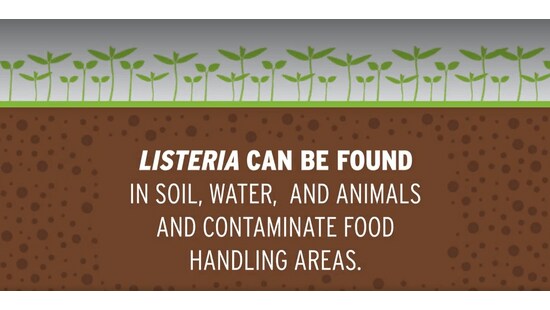 Listeria Photo_Blog