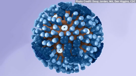 Pandemic Flu