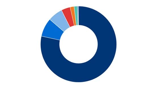 Chart showing 2023 Racial and Ethnic Diversity US Management representation